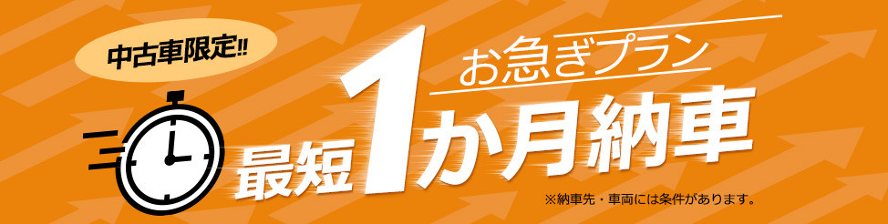 お急ぎプラン