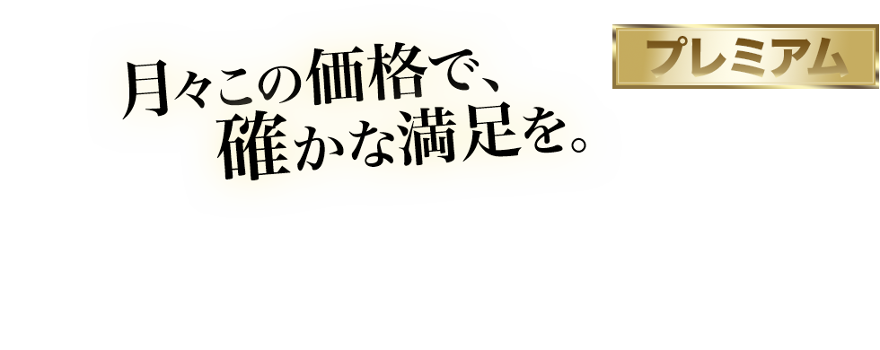 月々この価格で、確かな満足を。