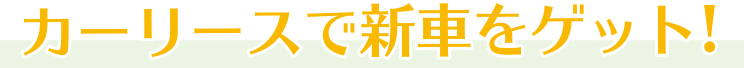 カーリースで新車をゲット！