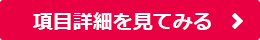 項目詳細を見てみる