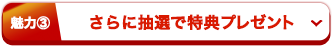 さらに抽選で特典プレゼント