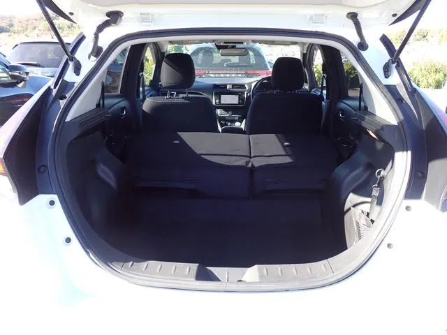 リーフ(ニッサン)の車両写真