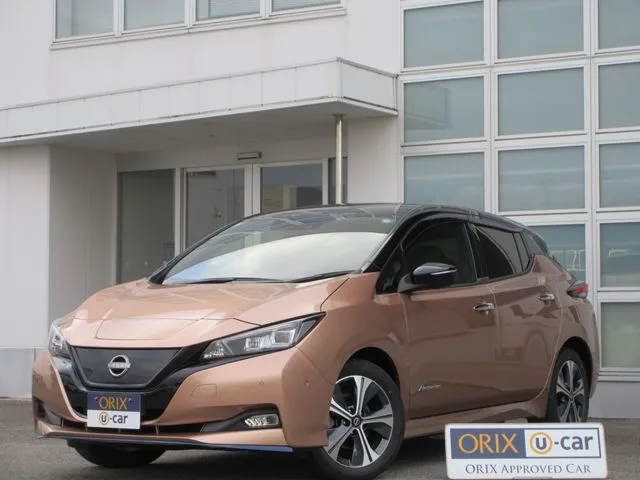 ニッサン　リーフ