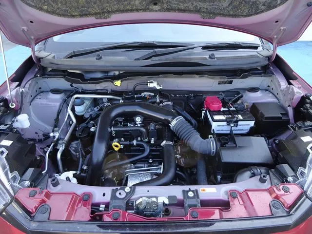 ライズ（トヨタ）の車両写真