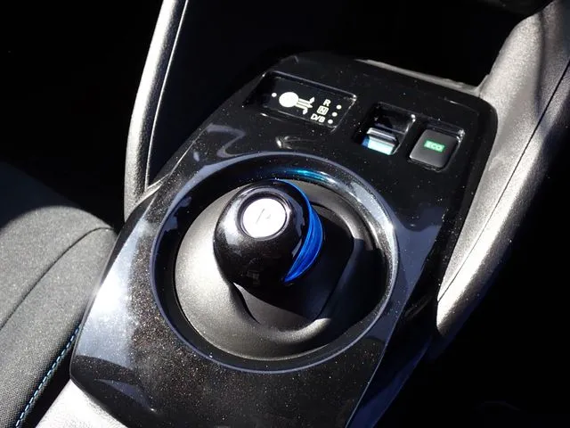 リーフ（ニッサン）の車両写真