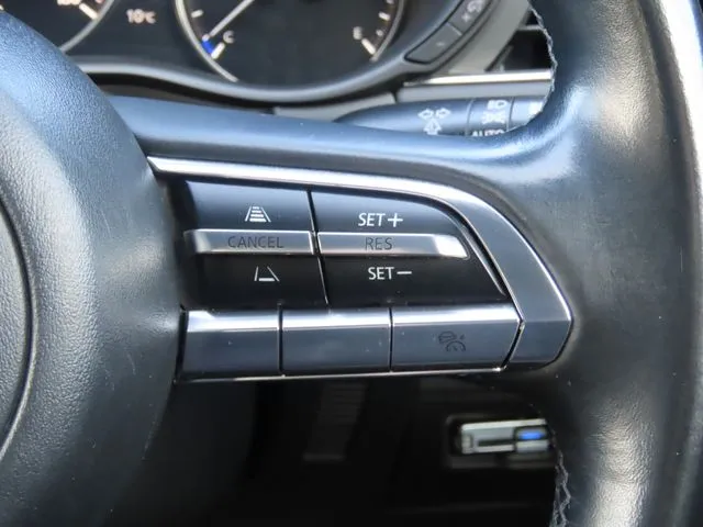 ＭＡＺＤＡ３　ファストバック（マツダ）の車両写真