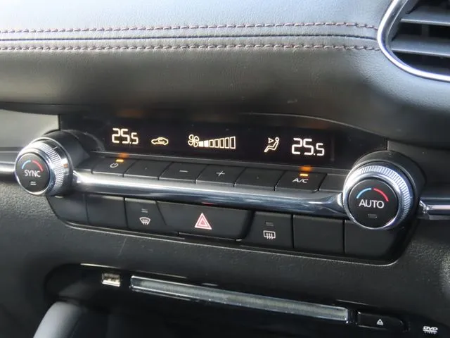 ＭＡＺＤＡ３　ファストバック（マツダ）の車両写真