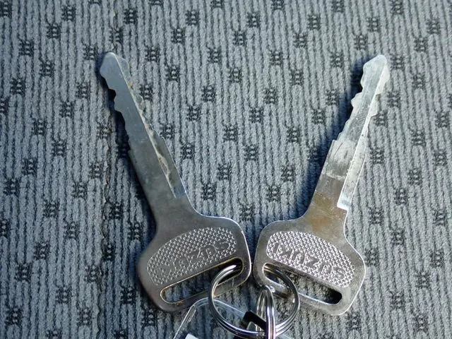 キャリイトラック　４ＷＤ（スズキ）の車両写真