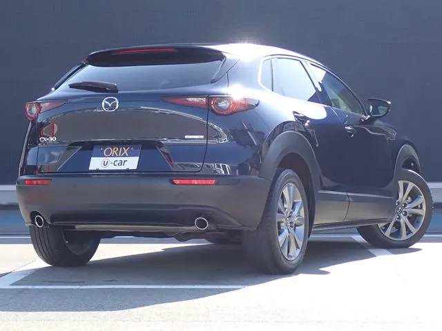 ＣＸ－３０（マツダ）の車両写真