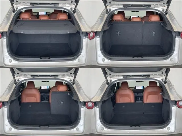 ＣＸ－３０（マツダ）の車両写真