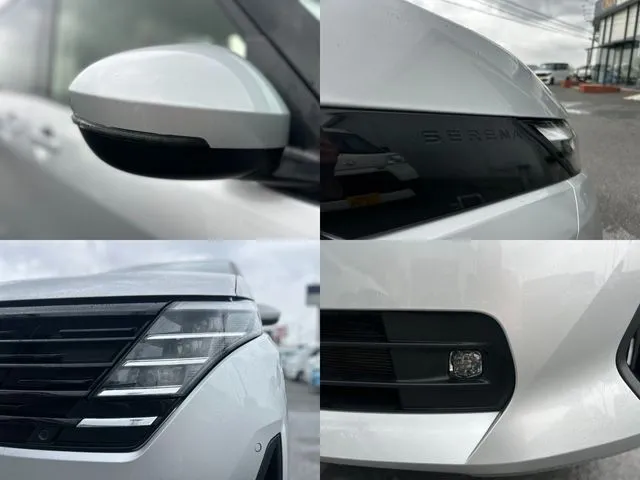 セレナ（ニッサン）の車両写真