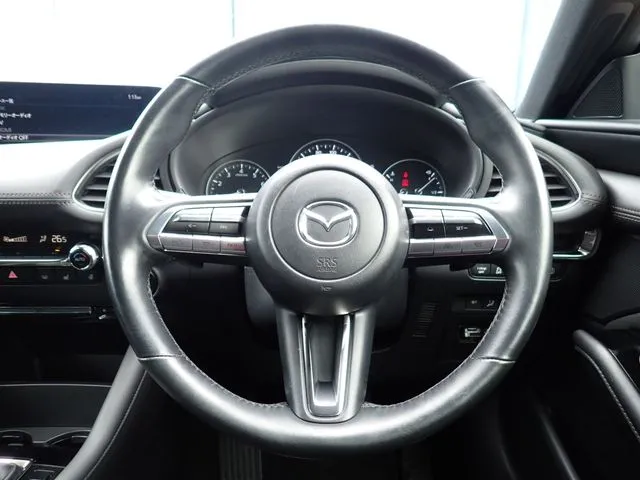ＭＡＺＤＡ３　ファストバック（マツダ）の車両写真