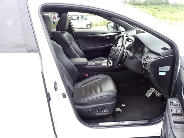 レクサス NX300(トヨタ)の車両写真