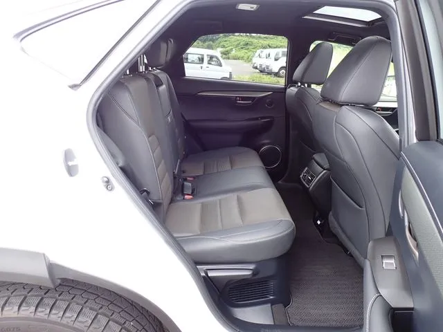 レクサス NX300(トヨタ)の車両写真