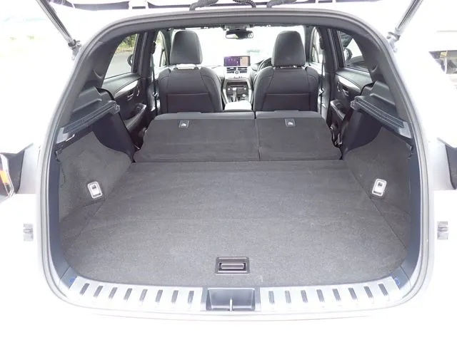 レクサス NX300(トヨタ)の車両写真