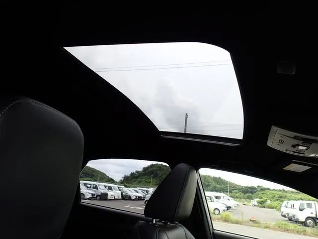 レクサス NX300(トヨタ)の車両写真