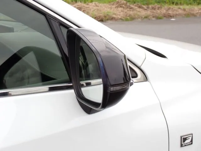 レクサス NX300(トヨタ)の車両写真