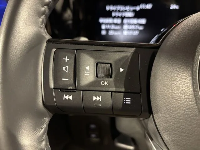 セレナ（ニッサン）の車両写真