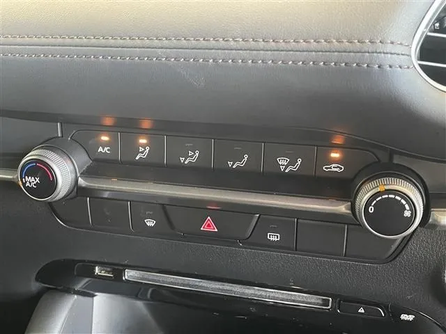 ＭＡＺＤＡ３　ファストバック（マツダ）の車両写真